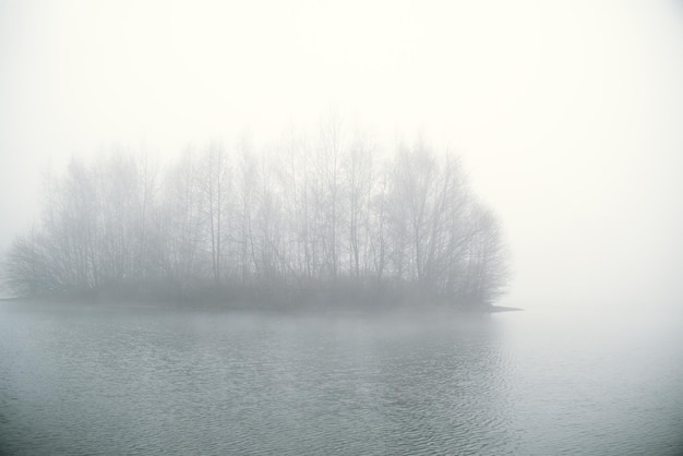 Niebla sobre el lago temprano en la mañana Siluetas de árboles desnudos en la isla reflejados en ondas de agua