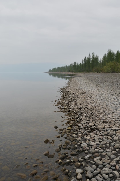 Niebla sobre el lago