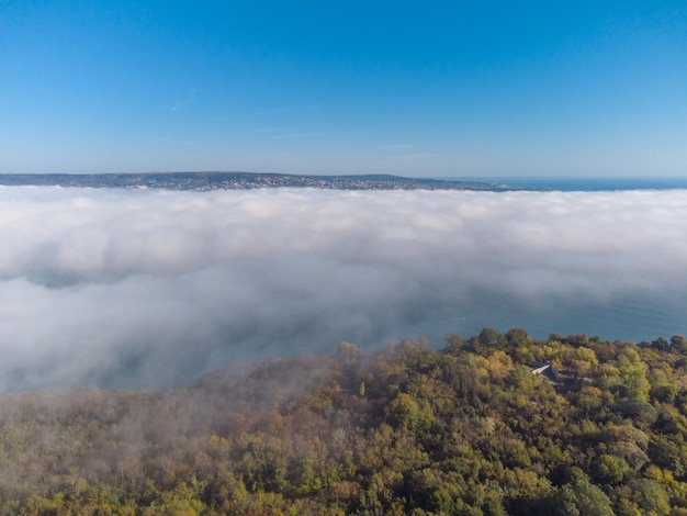 Niebla sobre el mar y el bosque en la vista aérea de la costa