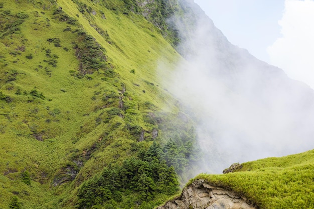 Niebla sobre la montaña en Hehuanshan