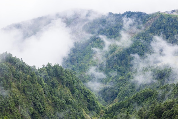 Niebla sobre la montaña en Hehuanshan