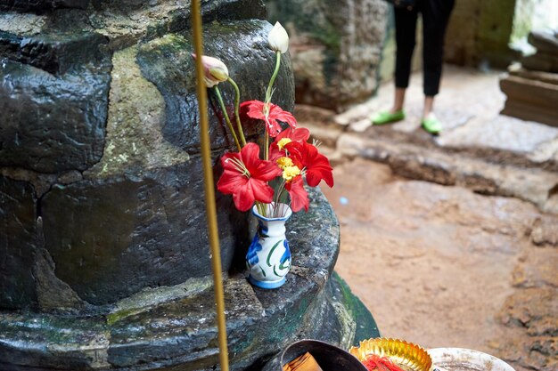 Foto niederer teil einer roten blume auf einem felsen im tempel