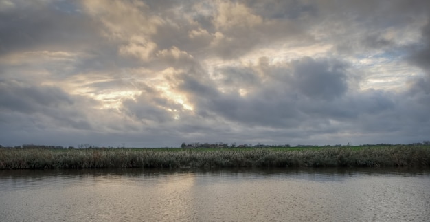 Niederländische Landschaft in der Sommerzeit