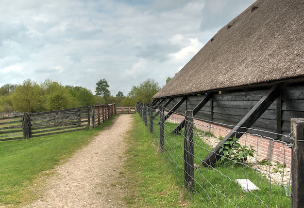 niederländische städtische Landwirtschaftsgebiete