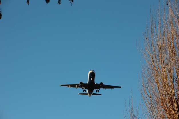 Foto niederwinkelansicht eines flugzeugs, das gegen einen klaren blauen himmel fliegt