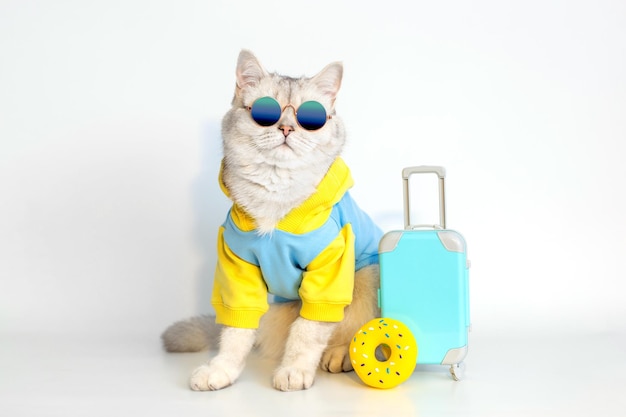 Niedliche Katze in blauem Sweatshirt und Sonnenbrille sitzt mit einem Koffer auf weißem Hintergrund