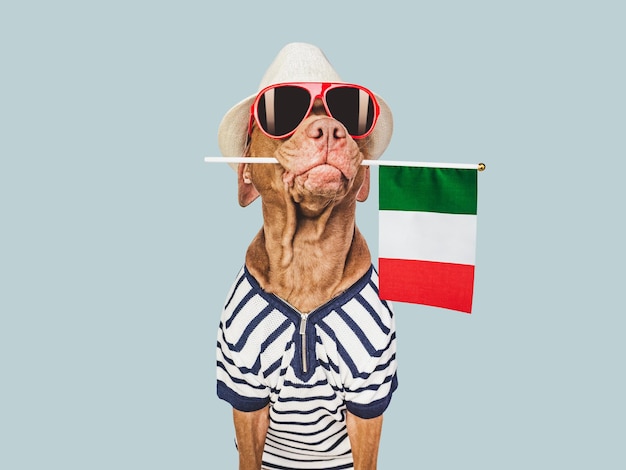 Niedlicher Hund und italienische Flagge Nahaufnahme drinnen Studiofoto Herzlichen Glückwunsch für Familie, Lieben, Verwandte, Freunde und Kollegen, Haustierpflegekonzept