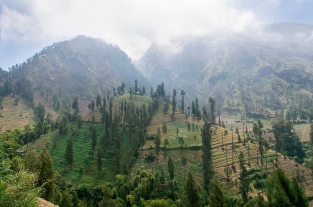 Niedrige Wolken und Nebel in der Berglandschaft der Java-Insel Java-Inselterrassen Indonesien