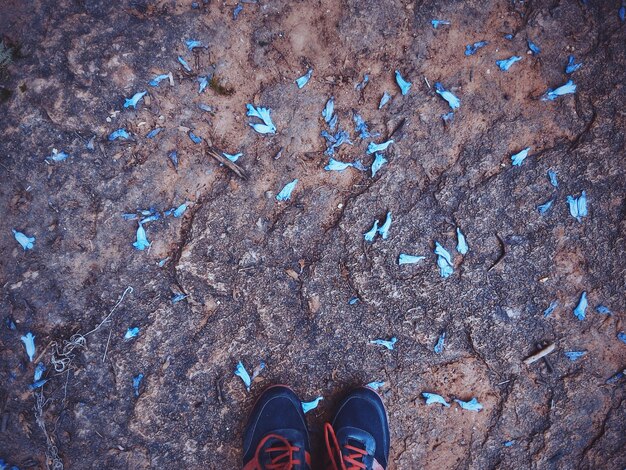 Foto niedriger abschnitt einer person, die schuhe trägt und bei gefallenen blumen auf einem felsen steht