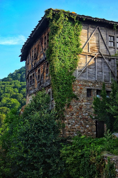 Foto niedriger blickwinkel auf altes haus und bäume vor dem himmel