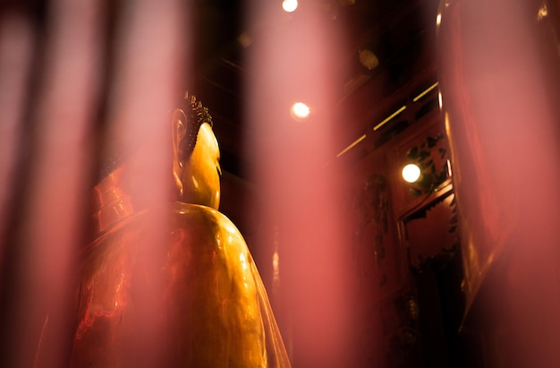 Foto niedriger blickwinkel auf die beleuchtete statue in der nacht