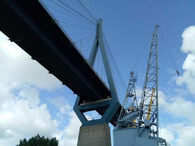 Niedriger Blickwinkel des Krans auf den Himmel