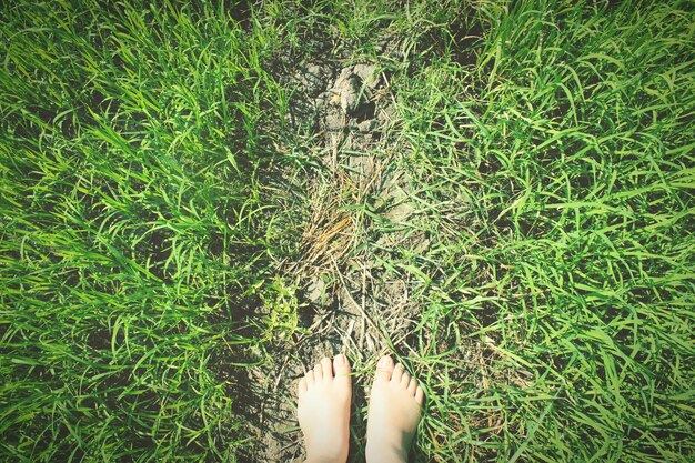 Foto niedriger teil einer frau, die auf einem grasbewachsenen feld steht