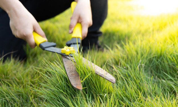 Foto niedriger teil einer frau, die gras im rasen schneidet