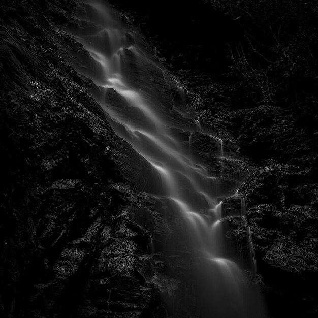 Foto niedriger winkel schöne aussicht auf den wasserfall im wald