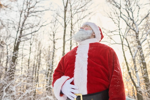 Niedriges Winkelporträt des traditionellen Weihnachtsmannes, der roten Mantel im Winterwald trägt und Kopie nachschlägt