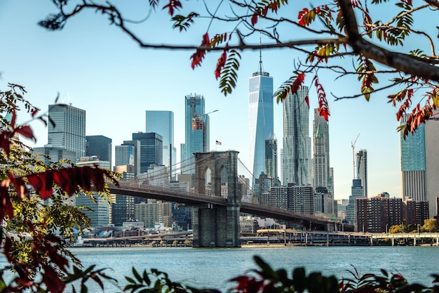 Niedrigwinkelansicht der Brooklyn-Brücke über den Fluss gegen den klaren Himmel in der Stadt