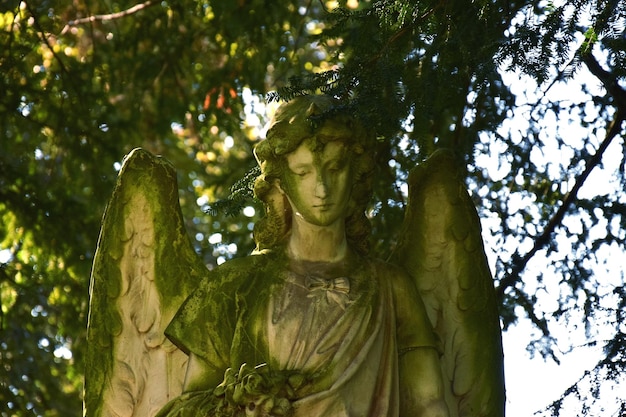 Foto niedrigwinkelansicht der engelstatue gegen bäume