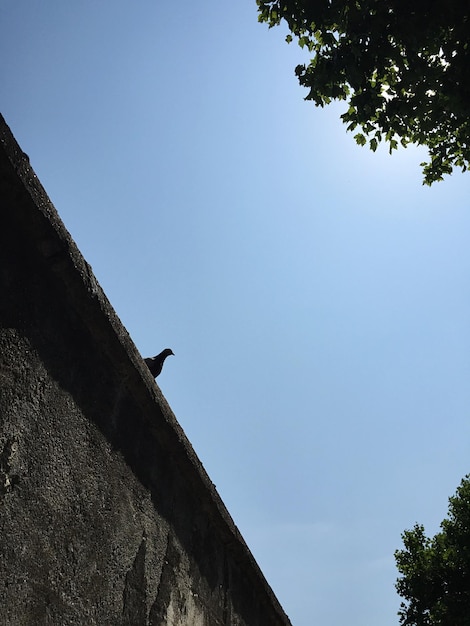 Niedrigwinkelansicht der gebauten Struktur vor klarem blauen Himmel