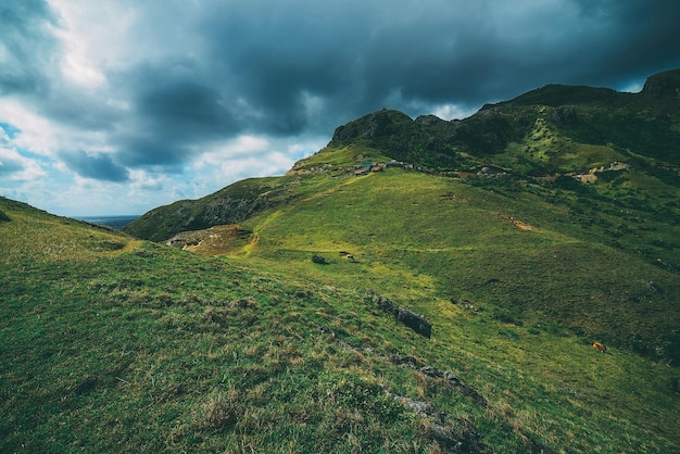 Niedrigwinkelansicht der grünen Landschaft gegen den Himmel