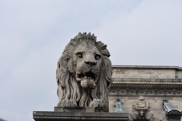 Foto niedrigwinkelansicht der löwenstatue gegen den himmel