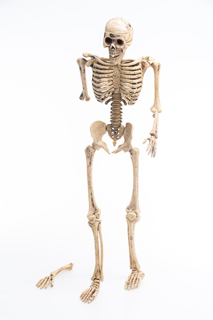 Niedrigwinkelansicht der menschlichen Skulptur vor weißem Hintergrund