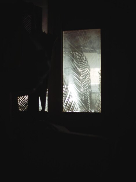 Niedrigwinkelansicht der Silhouette einer Frau, die am Fenster steht
