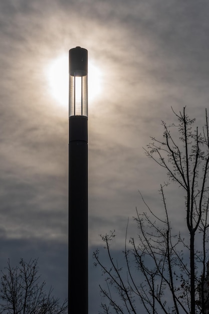 Foto niedrigwinkelansicht der silhouette eines nackten baumes gegen den himmel