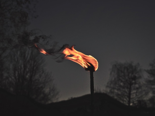 Foto niedrigwinkelansicht der silhouette-pflanze gegen den orangefarbenen himmel