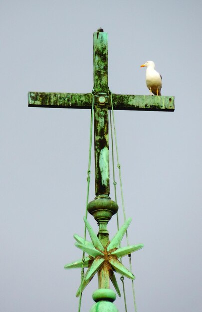 Foto niedrigwinkelansicht der statue vor klarem himmel