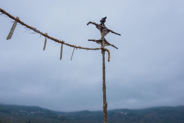 Foto niedrigwinkelansicht des himmels