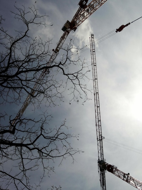 Foto niedrigwinkelansicht des kranes gegen den himmel