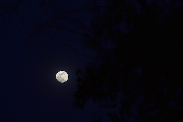 Niedrigwinkelansicht des Mondes gegen den Himmel bei Nacht