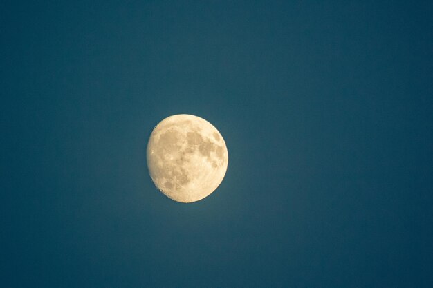 Niedrigwinkelansicht des Mondes gegen einen klaren Himmel in der Nacht