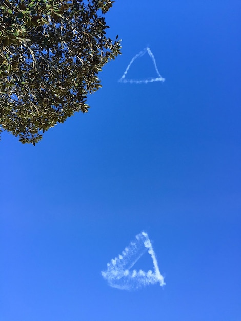 Foto niedrigwinkelansicht des schneebedeckten baumes vor klarem blauen himmel