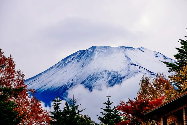 Niedrigwinkelansicht des schneebedeckten Fuji-Berges gegen den Himmel