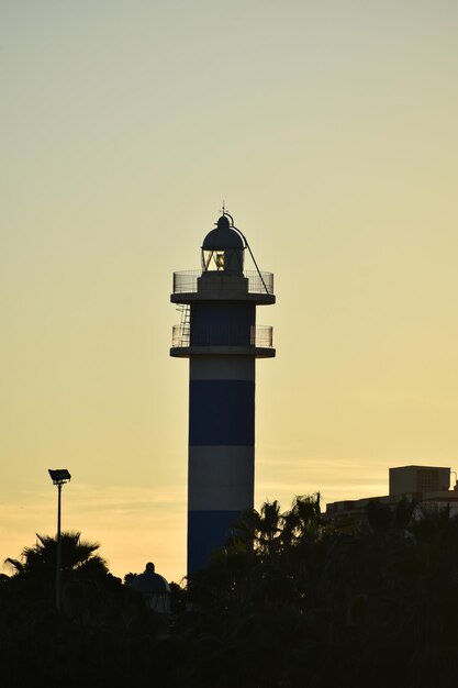 Foto niedrigwinkelansicht des silhouettenbaus gegen den himmel während des sonnenuntergangs