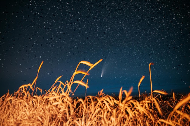 Foto niedrigwinkelansicht des sternfeldes gegen den nachthimmel