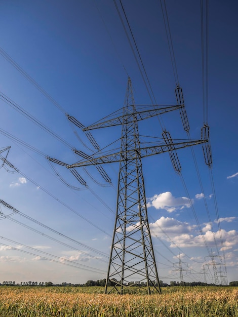 Niedrigwinkelansicht des Strompylons auf dem Land gegen den Himmel