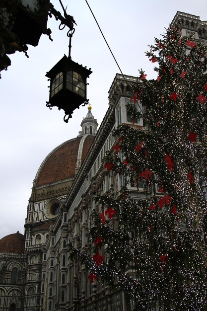 Foto niedrigwinkelansicht des weihnachtsbaums gegenüber dem duomo santa maria del fiore