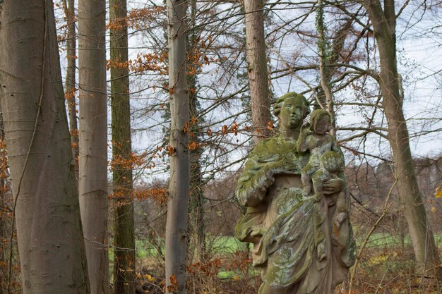 Niedrigwinkelansicht einer alten, mit Moos bedeckten Statue vor nackten Bäumen