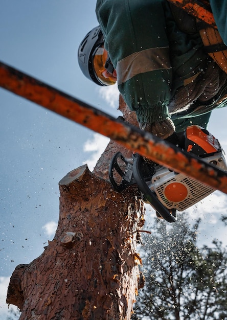 Niedrigwinkelansicht eines Baumbauers, der den Stamm eines Notfallbaums mit einer Kettensäge schneidet