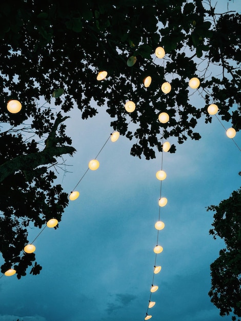 Foto niedrigwinkelansicht eines beleuchteten baumes gegen den himmel