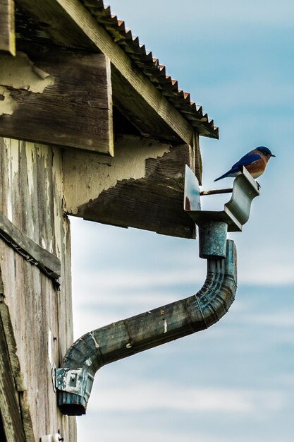 Foto niedrigwinkelansicht eines traditionellen gebäudes gegen den himmel