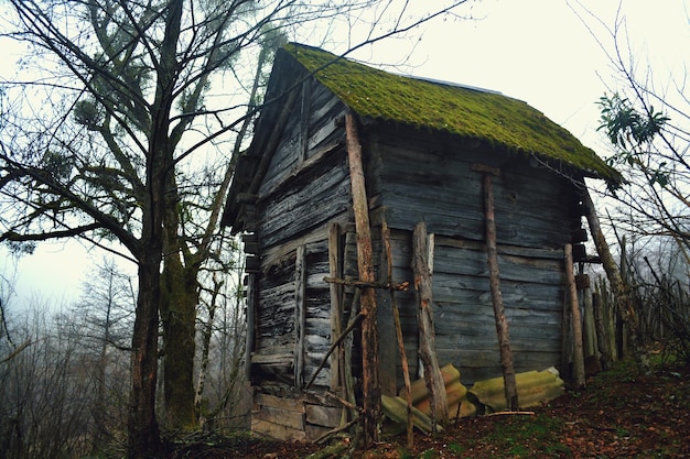 Foto niedrigwinkelansicht eines verlassenen hauses im wald