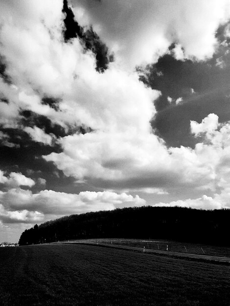 Foto niedrigwinkelansicht von bäumen gegen den himmel