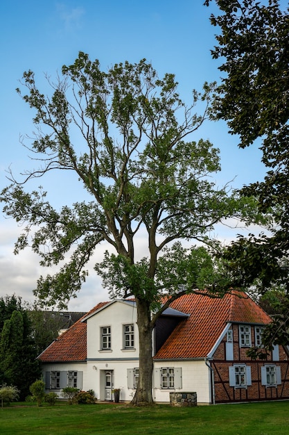 Foto niedrigwinkelansicht von bäumen und gebäuden gegen den himmel