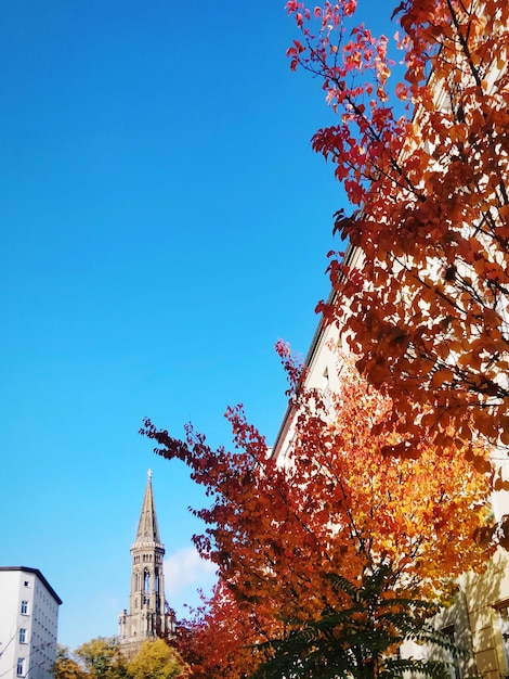 Niedrigwinkelansicht von Bäumen und Gebäuden vor dem Himmel