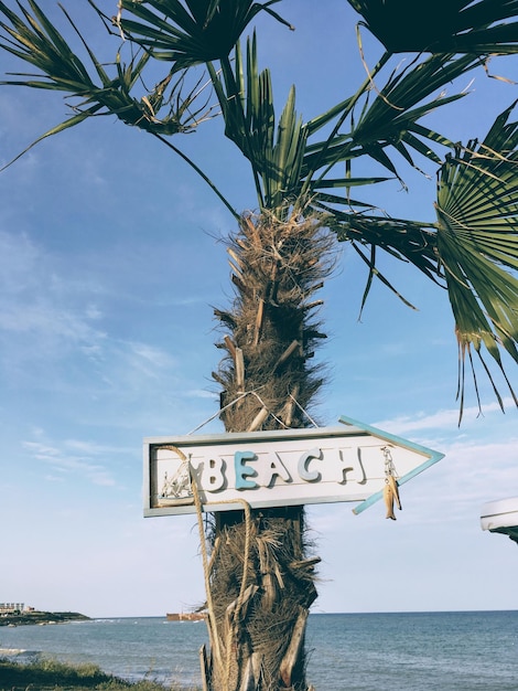 Niedrigwinkelansicht von einer Palm aus dem Meer gegen den Himmel