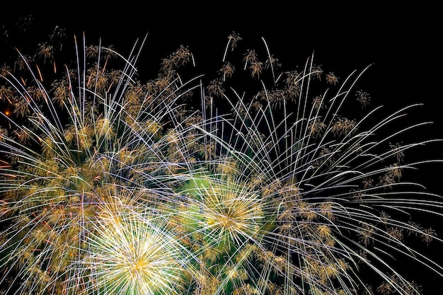 Foto niedrigwinkelansicht von feuerwerk gegen den nachthimmel